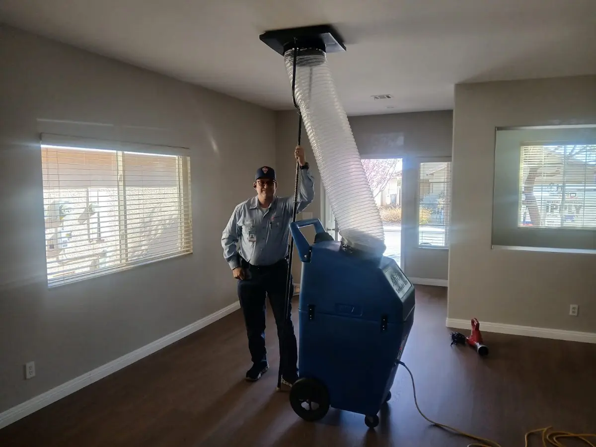 Professional Dryer Vent Cleaning work inside a Eastpointe home